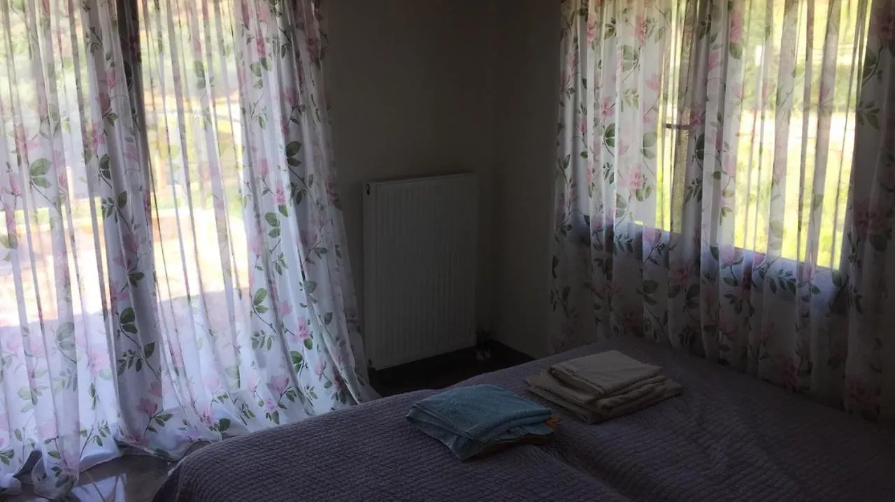 Villa Sea Breeze Nea Skioni Grecja